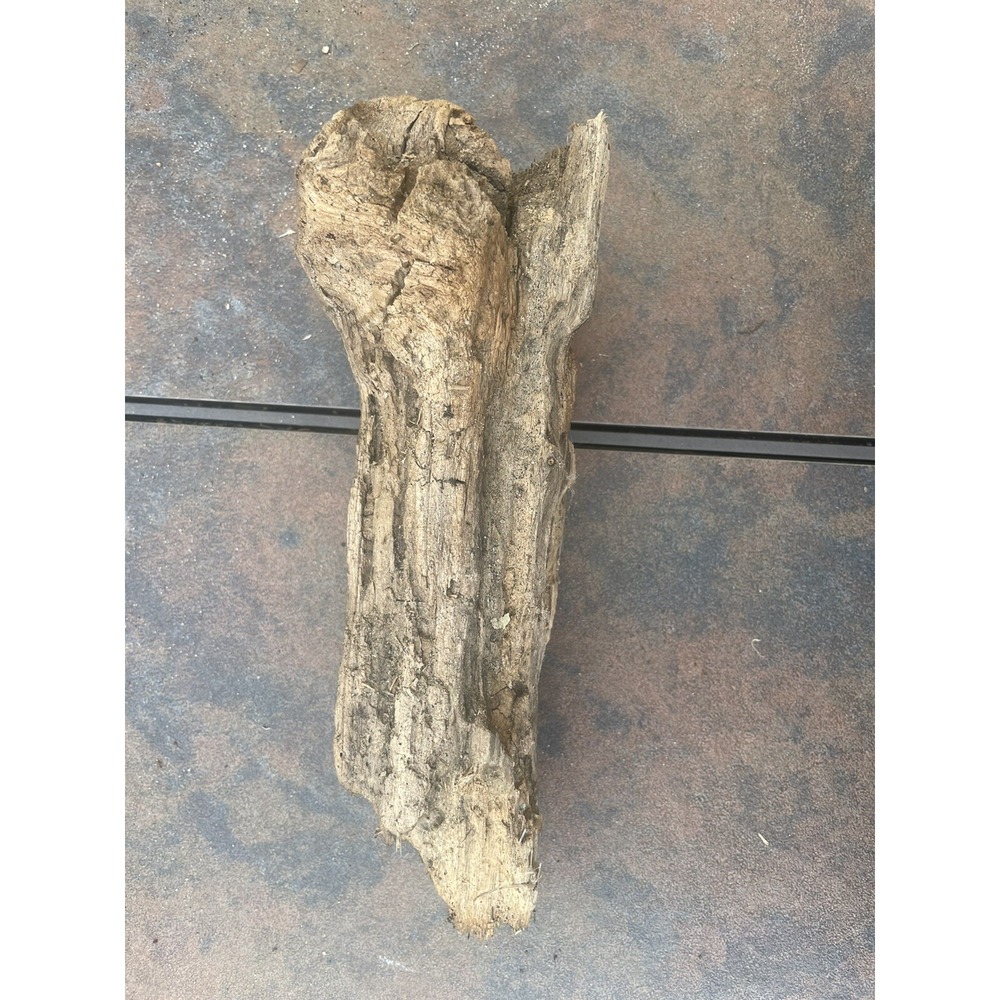 Natural Driftwood for Plants Terrarium Taxidermy Art Projects - Picture 2 of 4